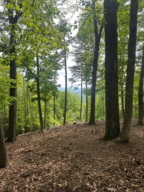 Lot 4 Hampton Knob Murphy, NC 28906 - Photo 5 of 6