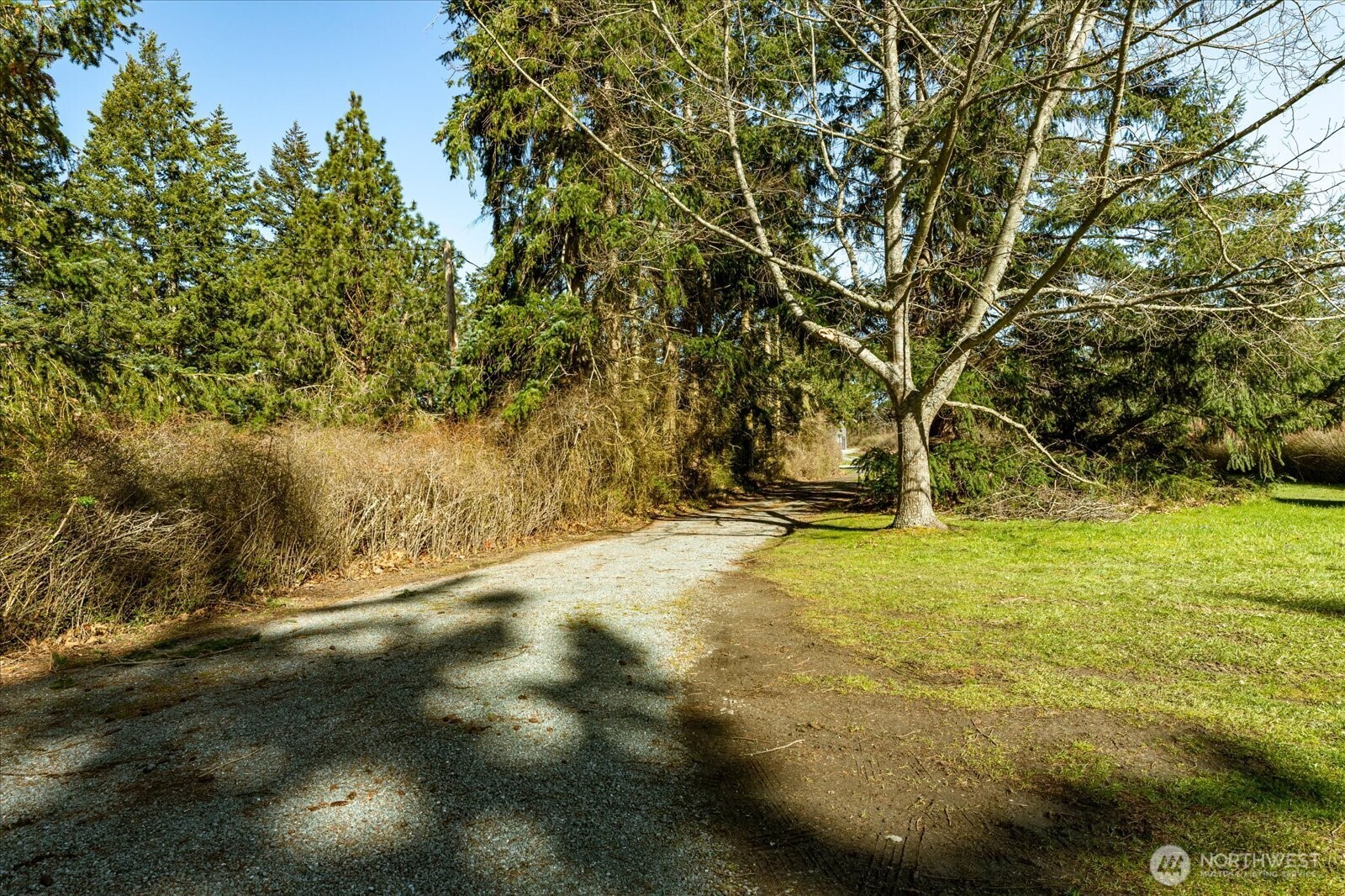 1677 Penn Cove Road Oak Harbor, WA 98277 - Photo 33 of 40 a view of yard with trees