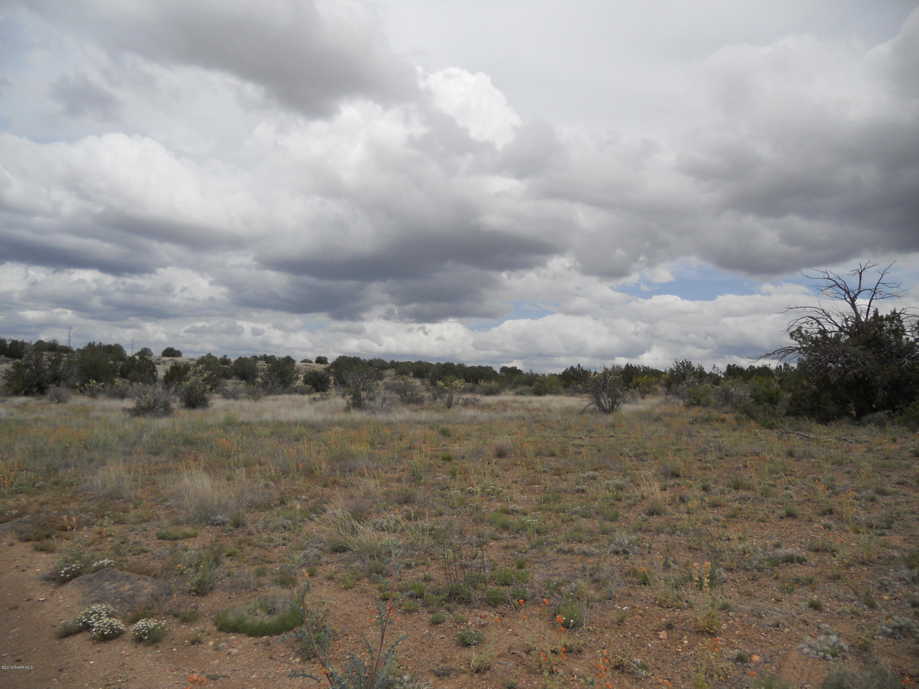 0 Headwaters Ranch- 306-41-101s Paulden, AZ 86334 - Photo 1 of 1 Junipers