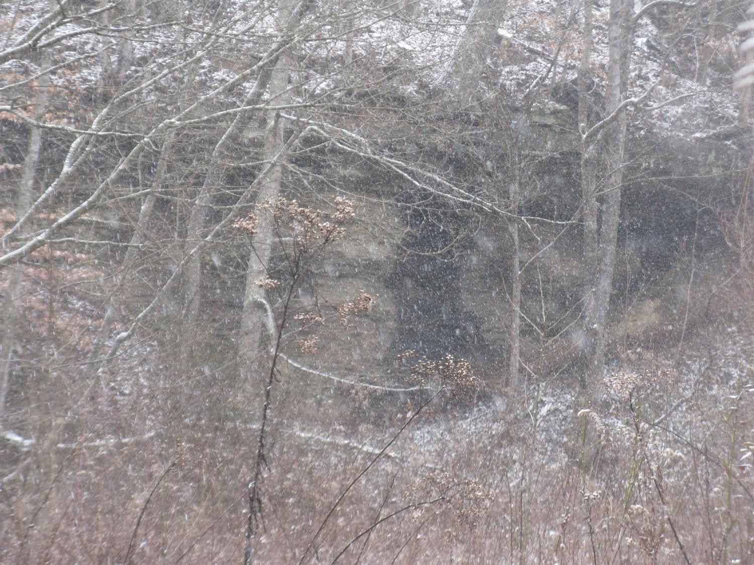 1 Lee Sizemore Road Manchester, KY 40962 - Photo 7 of 7 Rear of lot