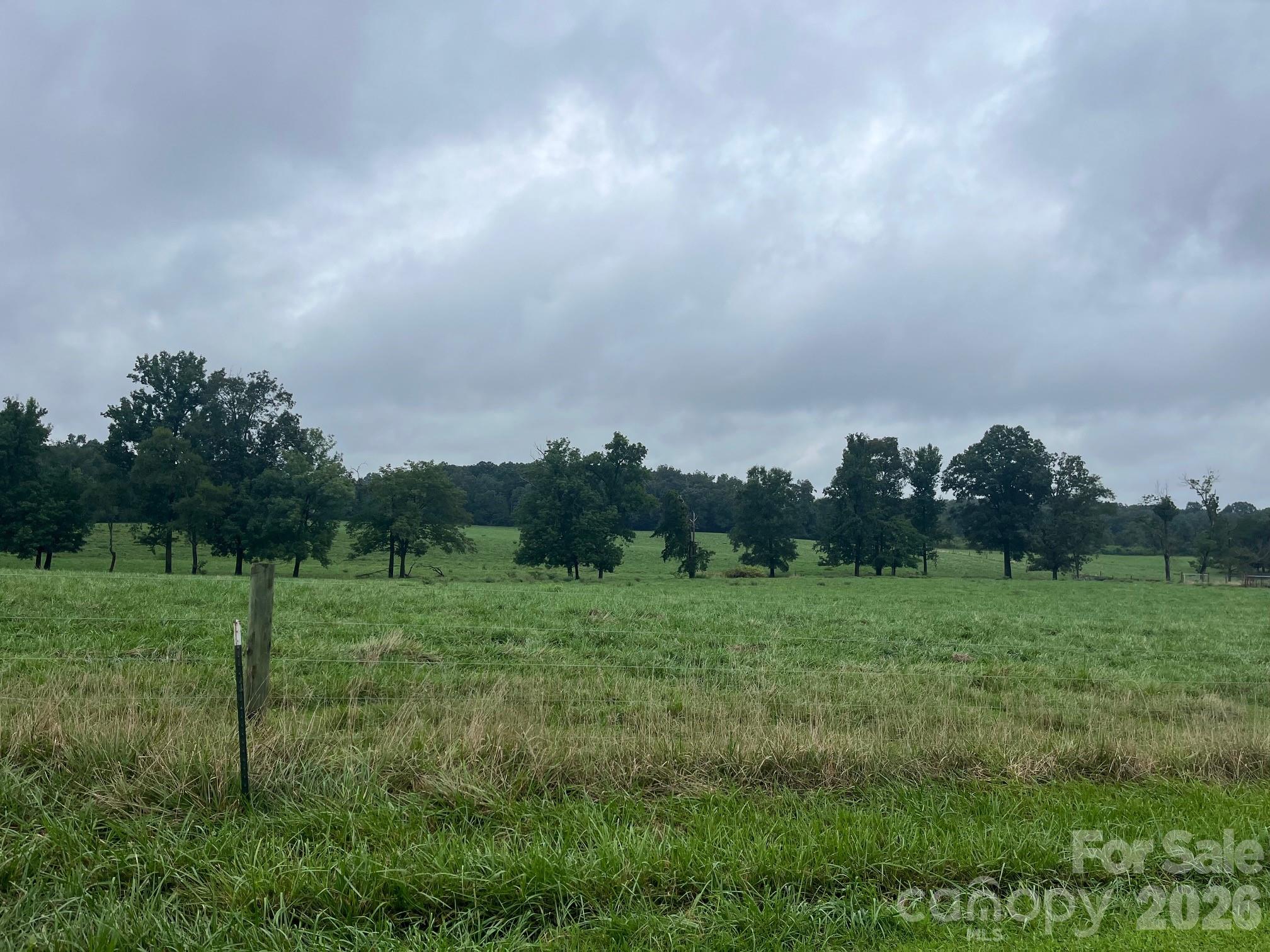 0 Thanny Helms Road Peachland, NC 28133 - Photo 3 of 12