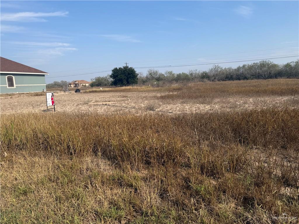0 Los Altos Street Rio Grande City, TX 78582 - Photo 1 of 1