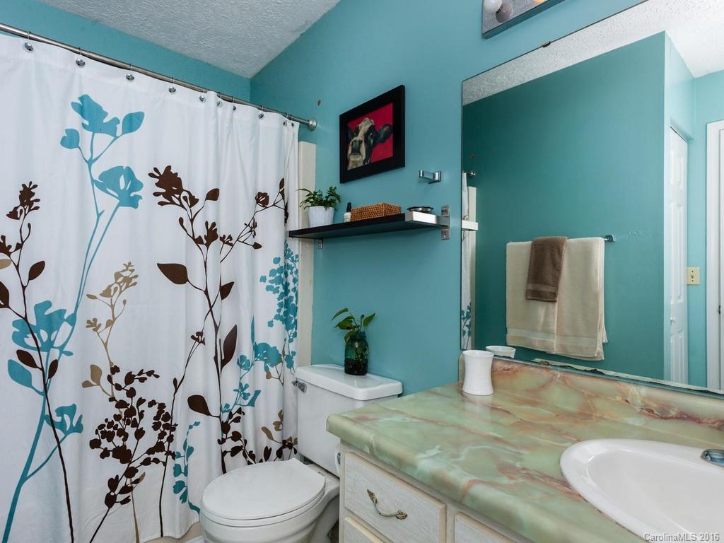 171 Quail Ridge Road Mills River, NC 28759 - Photo 14 of 24 Gallery Image 14