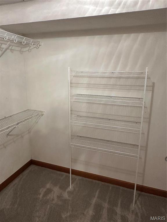 4551 Klein Road Millstadt, IL 62260 - Photo 21 of 25