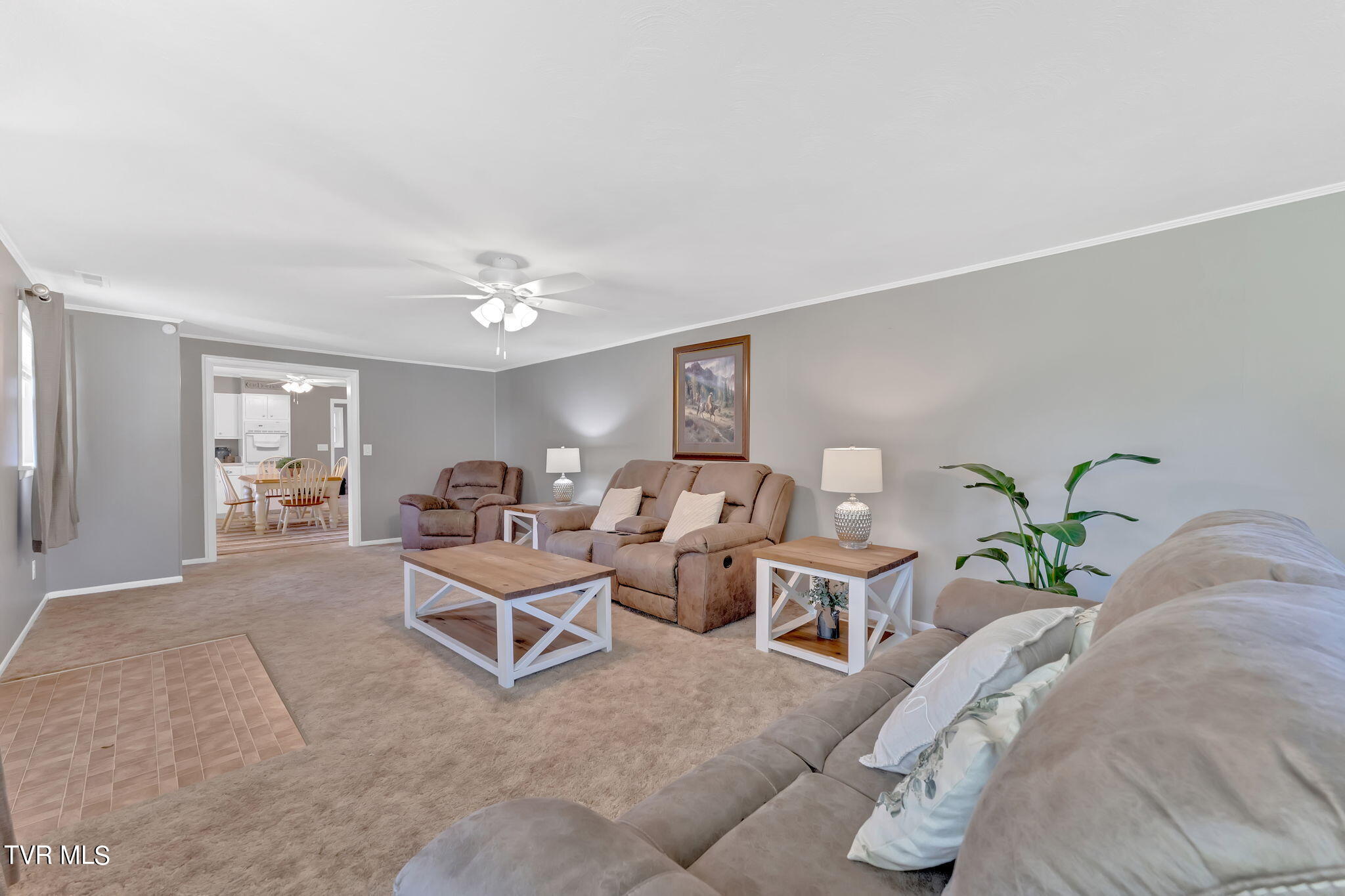 45 Milligan Road Afton, TN 37616 - Photo 8 of 36 17-web-or-mls-DSC09211