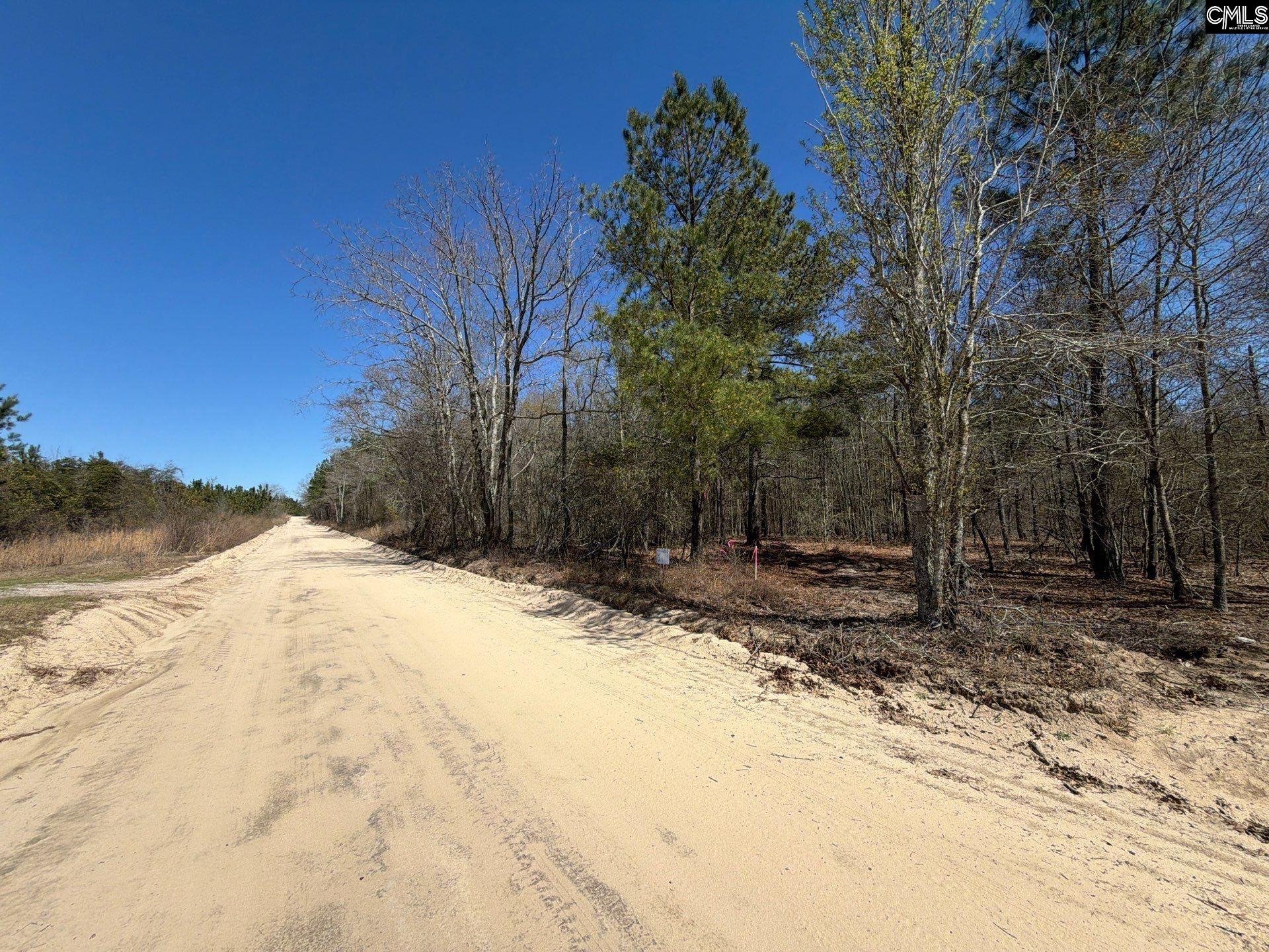 11 Boise Cascade Road, Unit BHL 11 Bethune, SC 29009 - Photo 2 of 24