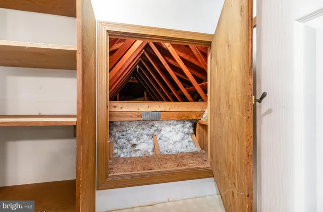 a view of yard with trees