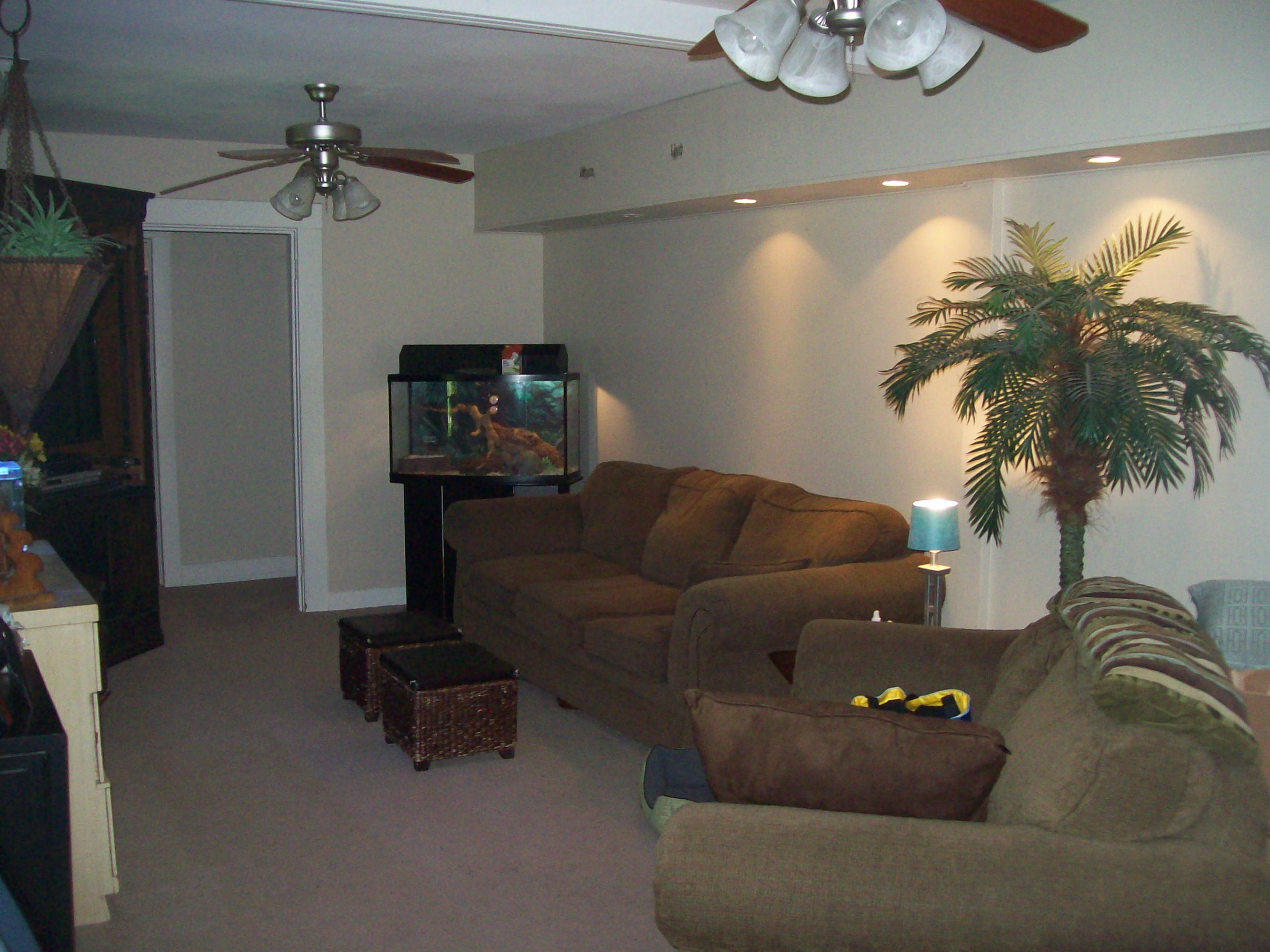 719 Colonial Road Blue Ridge, VA 24064 - Photo 3 of 6 a living room with furniture and a potted plant