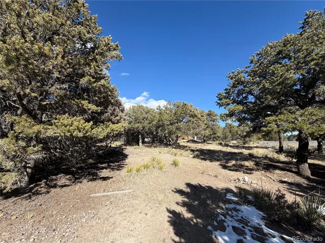 $40,000 | 390 Cameron Pass Road, South Fork, CO 81154