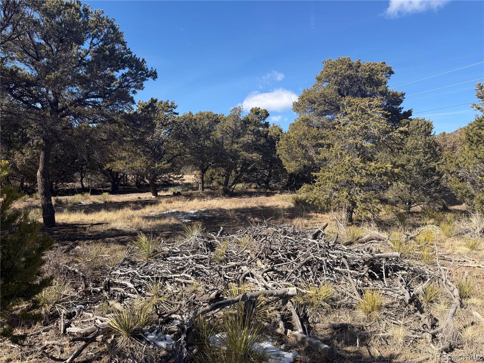 390 Cameron Pass Road South Fork, CO 81154 - Photo 3 of 4