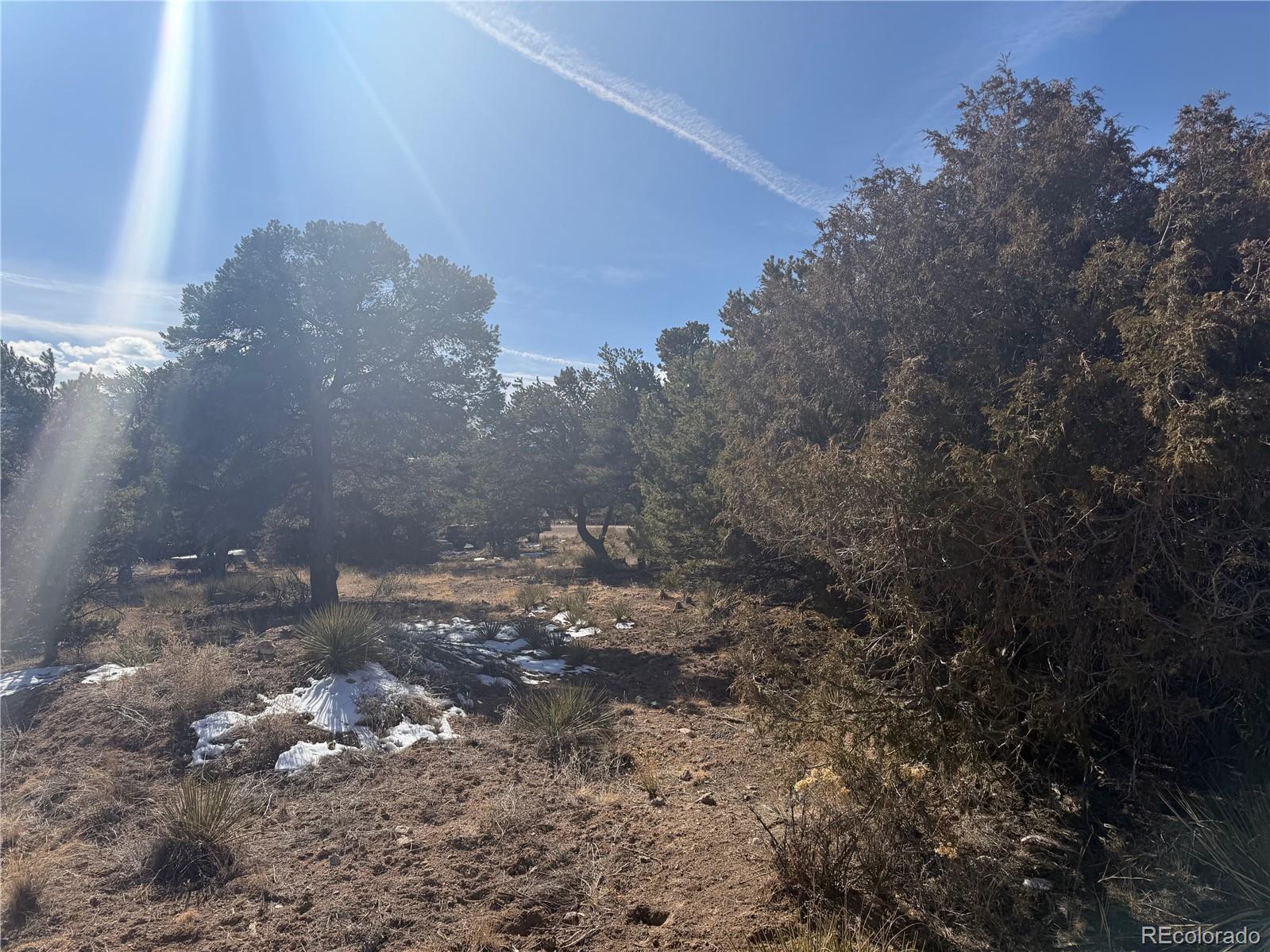 390 Cameron Pass Road South Fork, CO 81154 - Photo 4 of 4