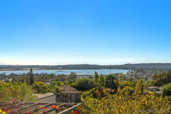 a view of lake and city