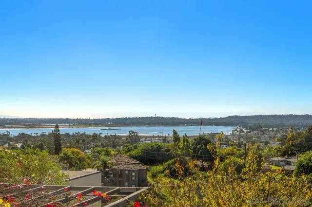 a view of lake and city