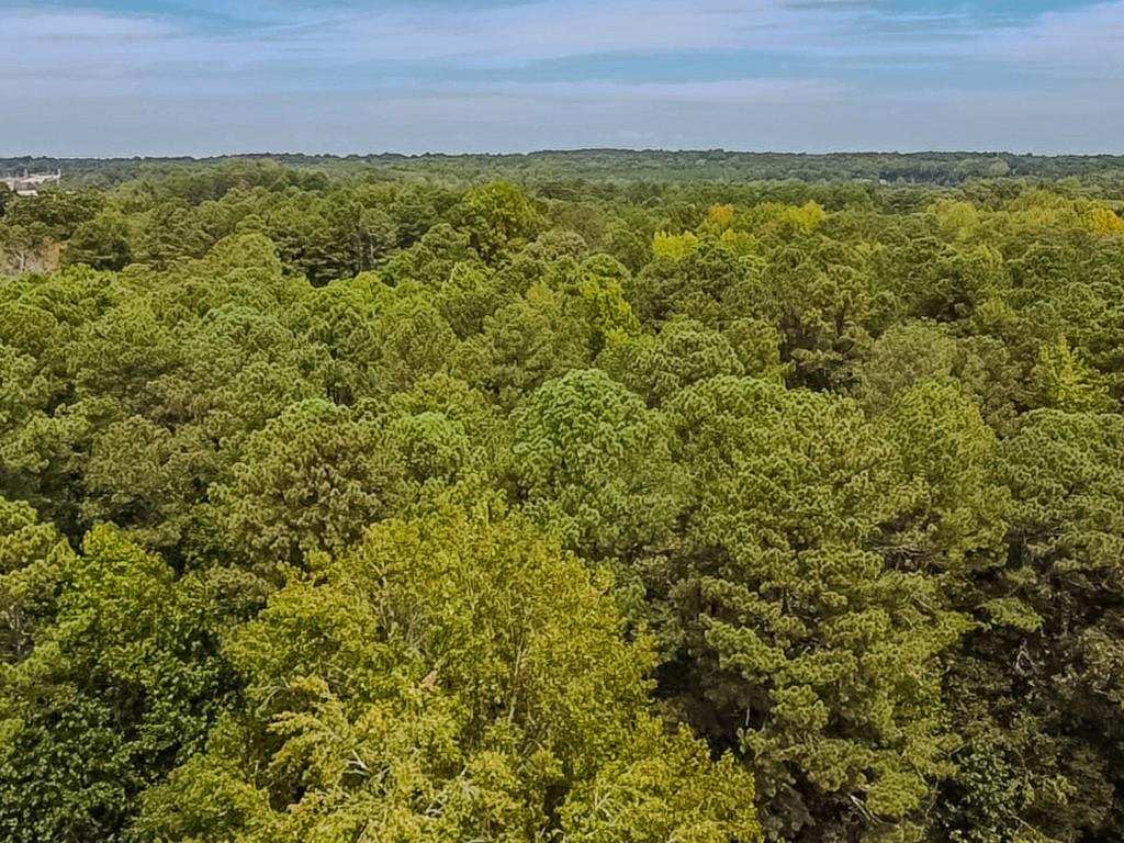 1152 Harbins Road Dacula, GA 30019 - Photo 25 of 33