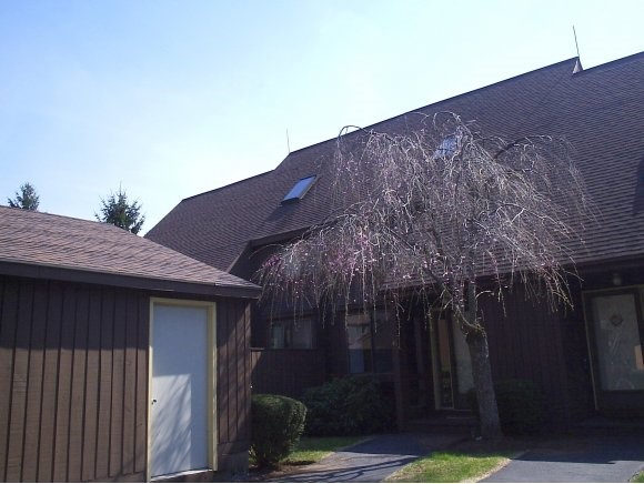 46 Spring Cove Road, Unit 46 Nashua, NH 03062 - Photo 1 of 1