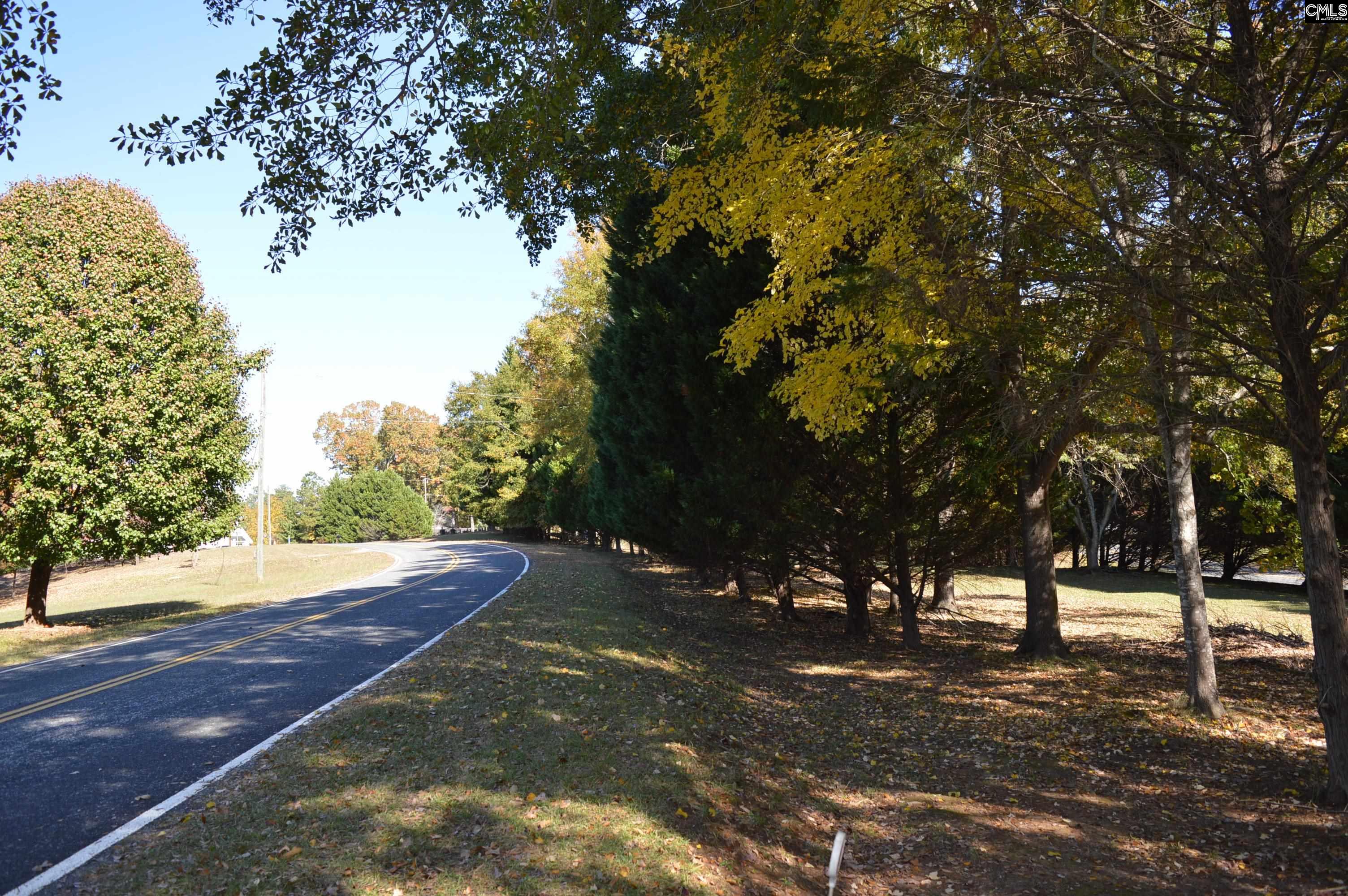 2004 Rolling Hills Road Ridgeway, SC 29130 - Photo 5 of 27