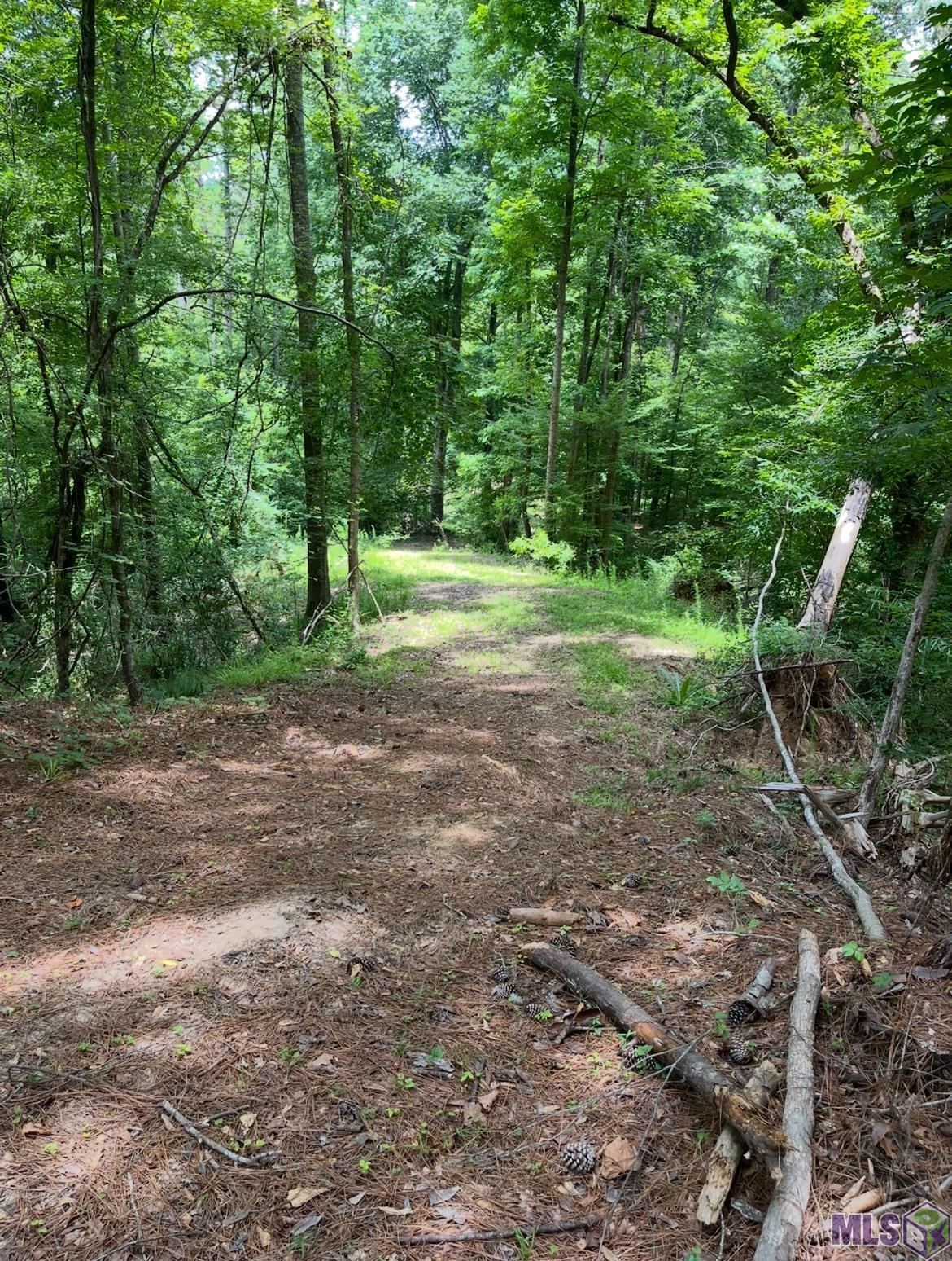 11255 Old Port Gibson Road Port Gibson, MS 39150 - Photo 22 of 32