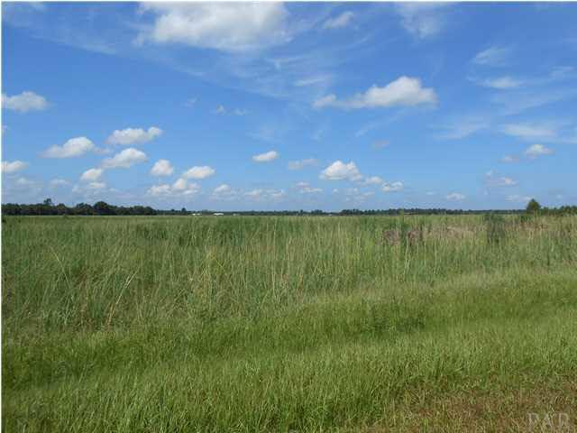 2 Jack Springs Road Atmore, AL 36502 - Photo 7 of 27 property photos