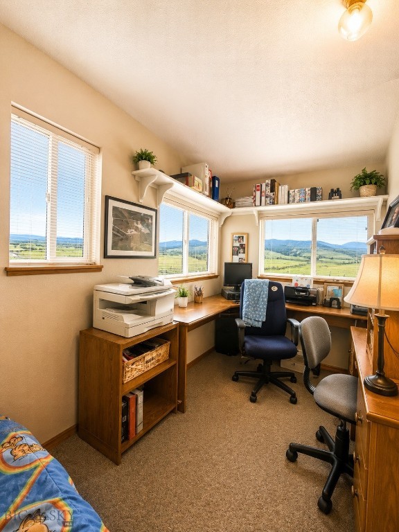 3401 Steel Creek Road Wisdom, MT 59761 - Photo 15 of 72 Gallery Image 15