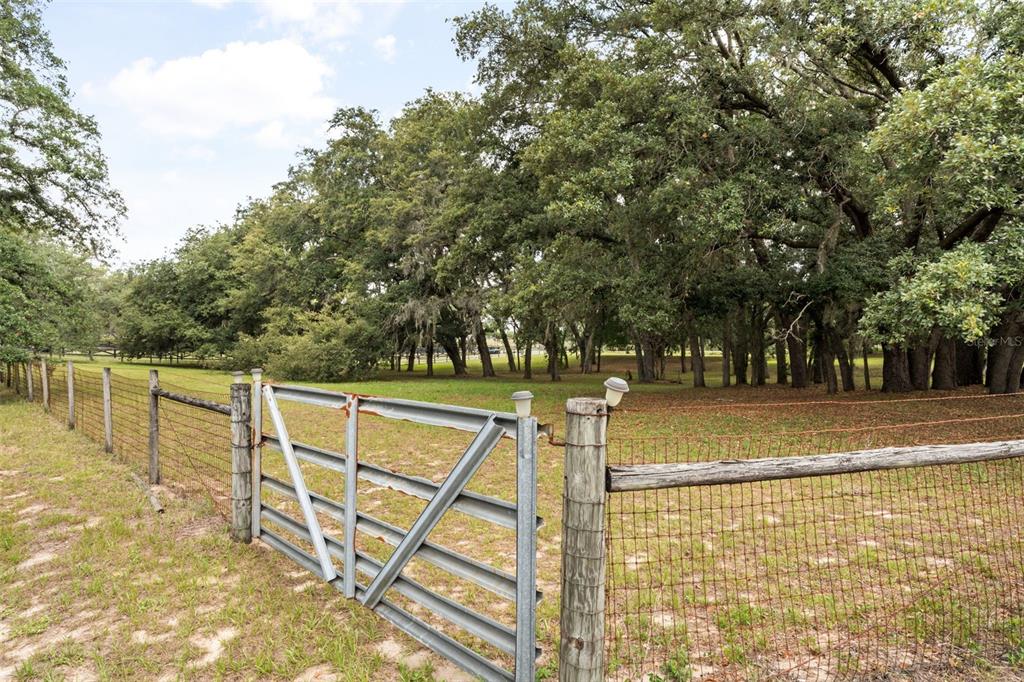16104 Sandhill Road Winter Garden, FL 34787 - Photo 27 of 36