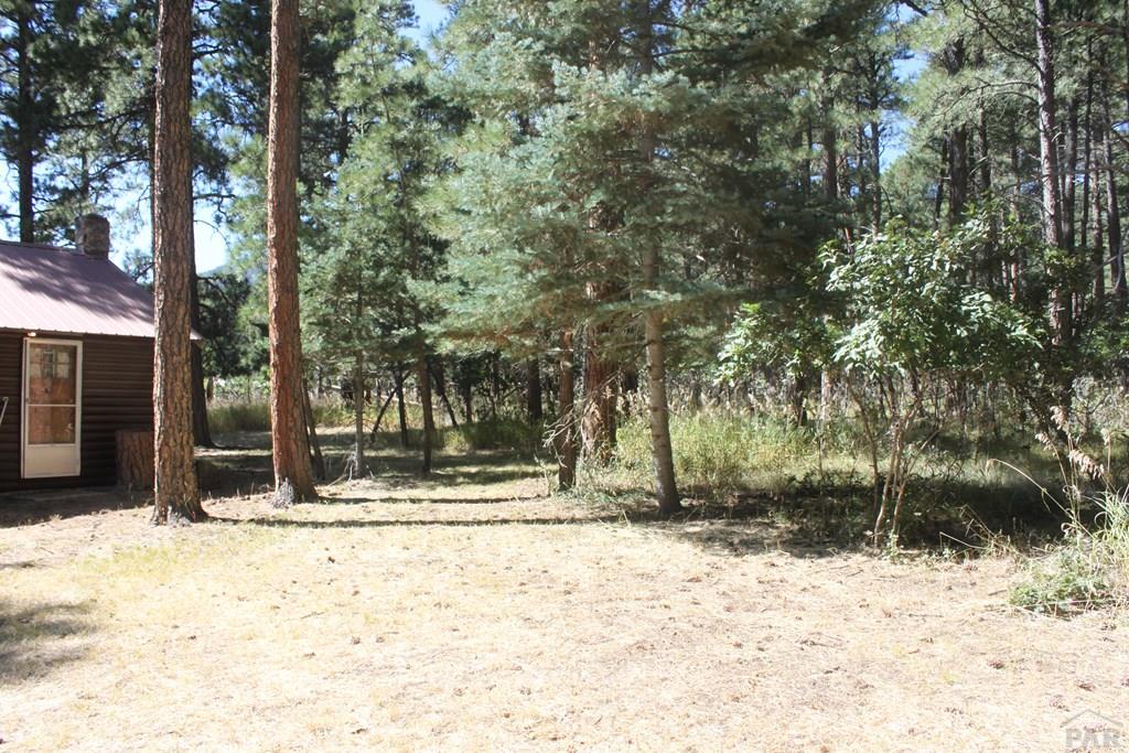 0 Green Tower Lane Rye, CO 81069 - Photo 21 of 24