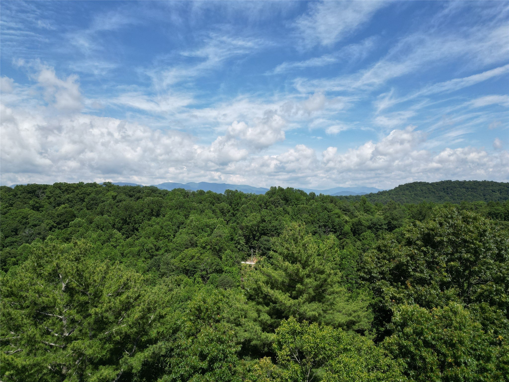 0 Old Bear Ridge Road Scaly Mountain, NC 28775 - Photo 2 of 7 Gallery Image 2