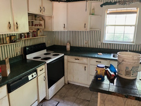 2029 Old Lake Road Lewisburg, TN 37091 - Photo 11 of 23 a kitchen with a sink a stove and cabinets