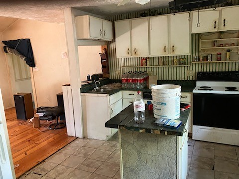 2029 Old Lake Road Lewisburg, TN 37091 - Photo 13 of 23 a kitchen with refrigerator and cabinets
