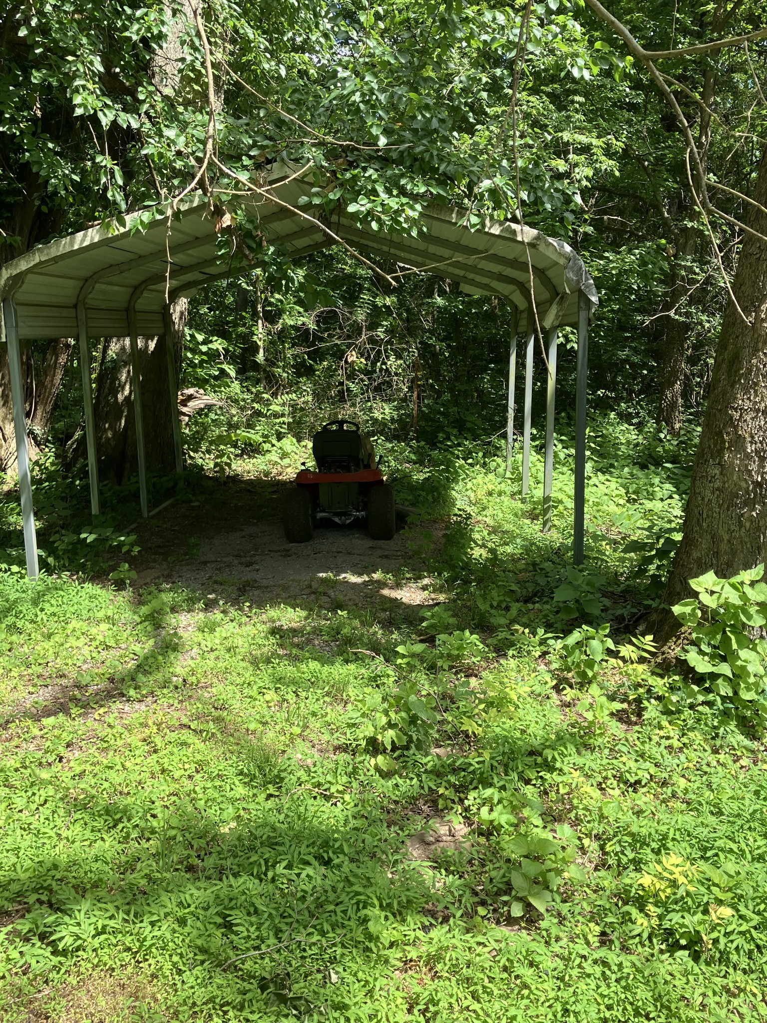 2029 Old Lake Road Lewisburg, TN 37091 - Photo 17 of 23 a backyard of a house with lots of green space