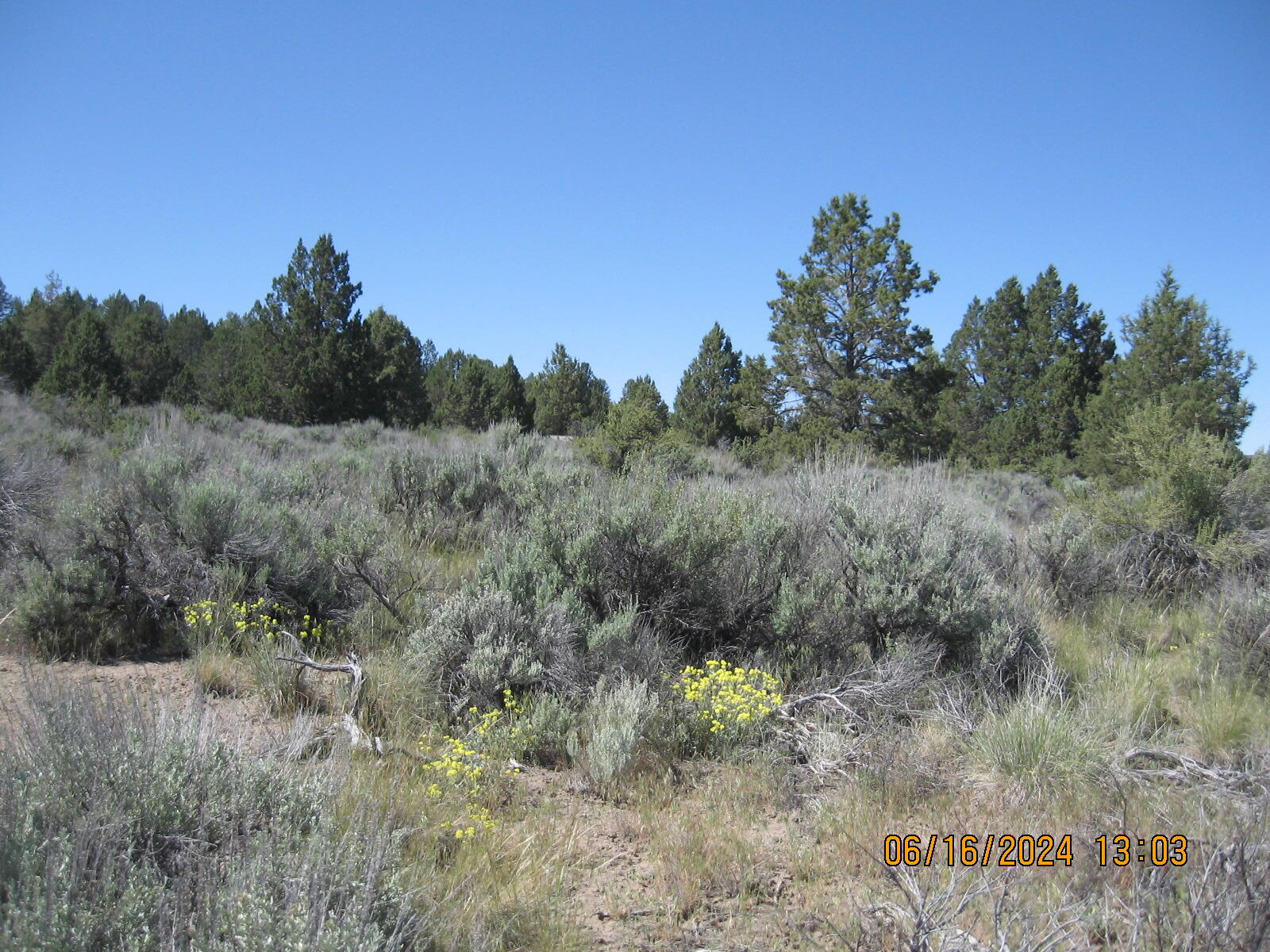 Drews Road Chiloquin, OR 97624 - Photo 4 of 19 4