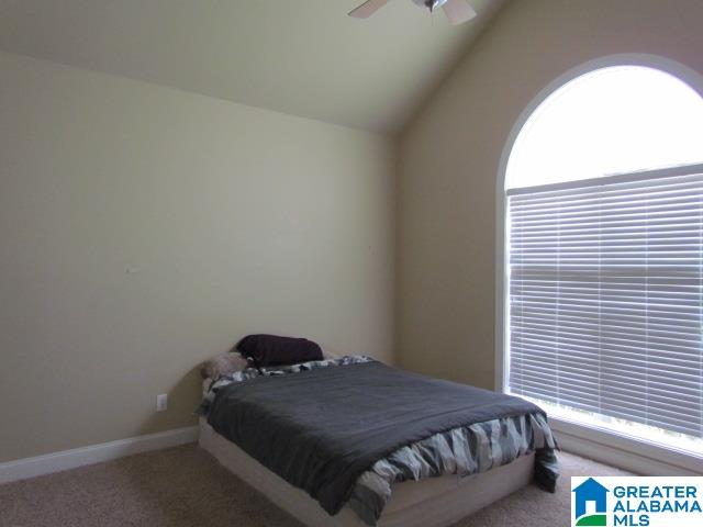 51 Willow Point Drive Ohatchee, AL 36271 - Photo 23 of 32