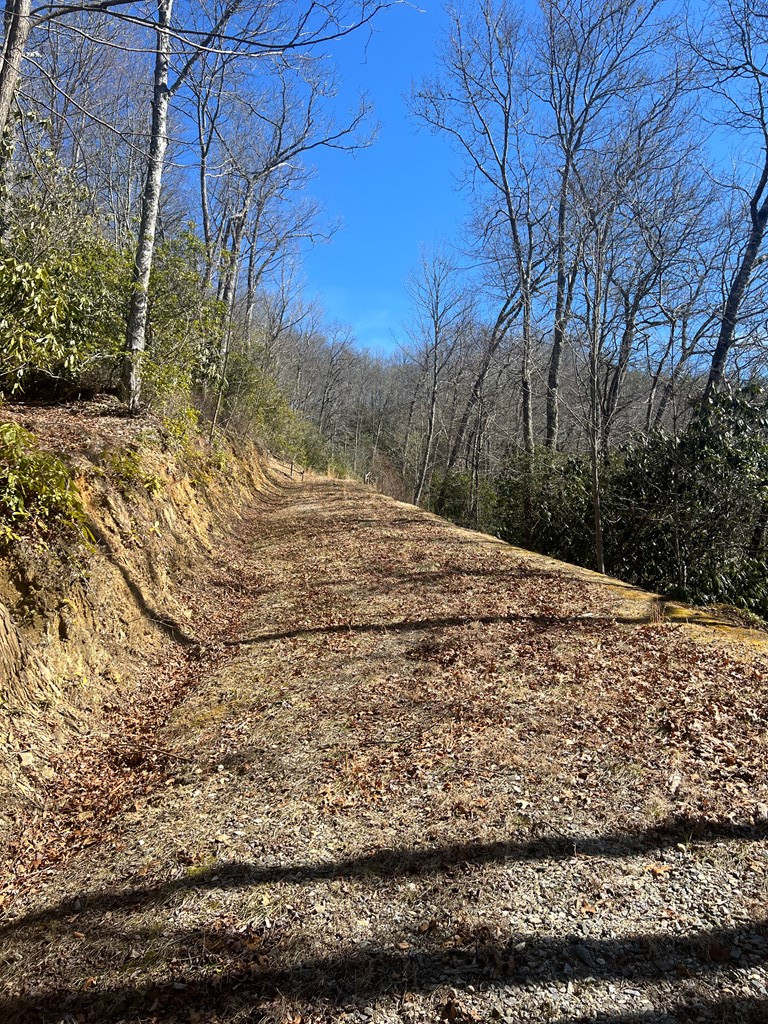 Lot 19 Preserve Valley Road Topton, NC 28781 - Photo 2 of 5