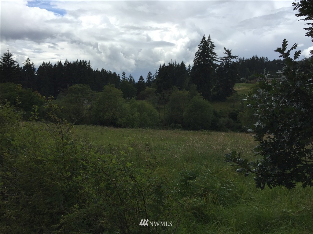 814 Cloverdale Road Kalama, WA 98625 - Photo 3 of 10 Gallery Image 3