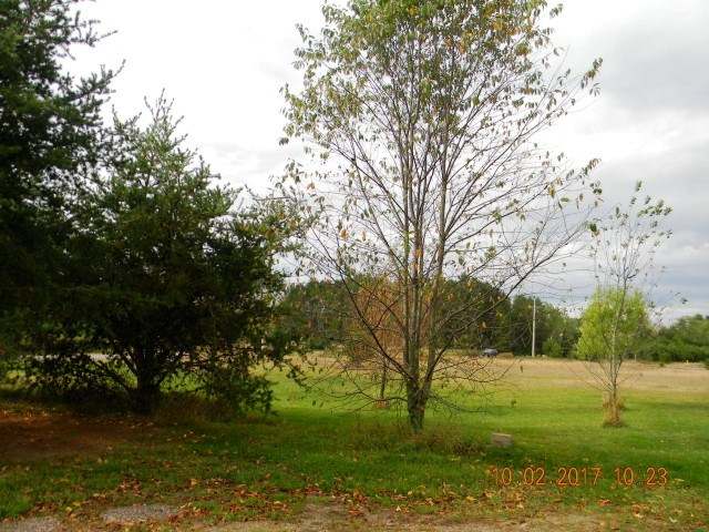 6164 Hat Rapids Road Rhinelander, WI 54501 - Photo 18 of 20 Gallery Image 18