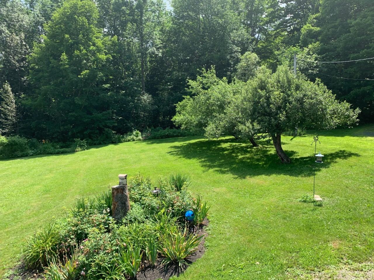 62 North Merrill Road Harmony, ME 04942 - Photo 2 of 13 Lawn