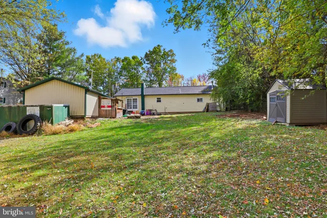 a view of a yard with a tree