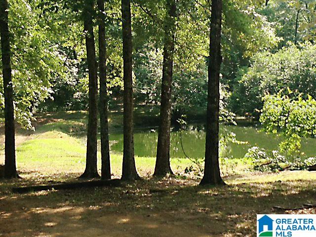 Sycamore Road, Unit 125 Columbiana, AL 35051 - Photo 4 of 14