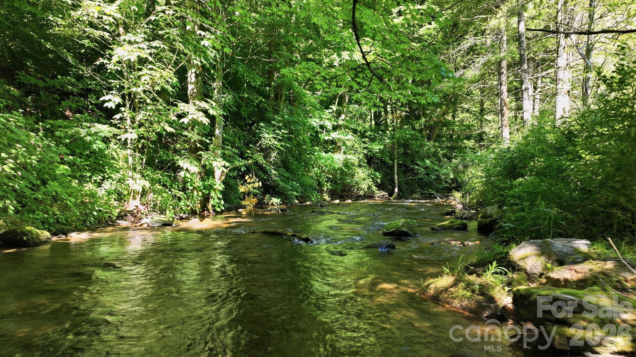 Tbd Dark Ridge Road Sylva, NC 28779 - Photo 13 of 17