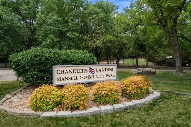 a view of a forest with trees