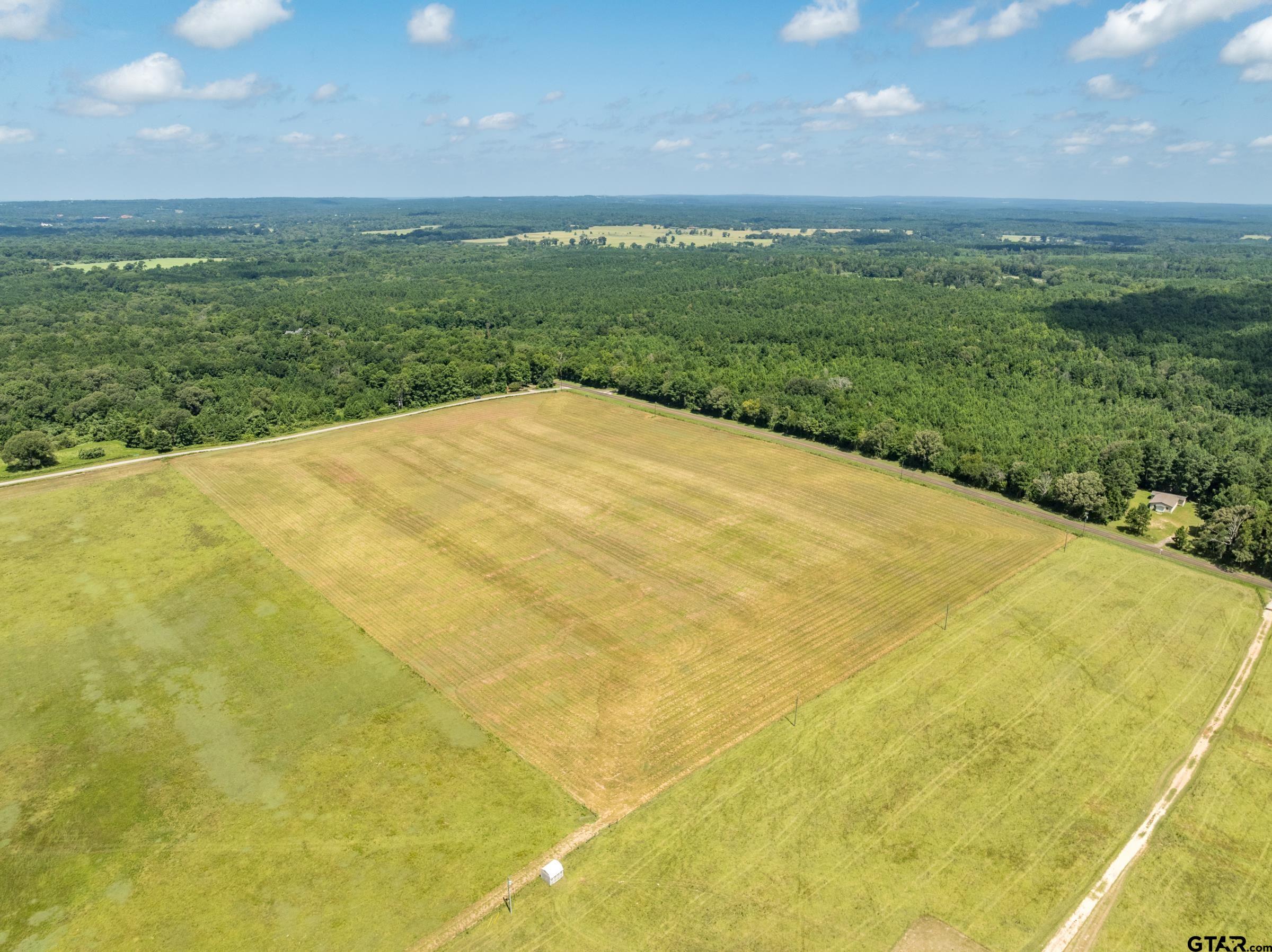 1420 Acr 379 Palestine, TX 75801 - Photo 4 of 10 a view of a big yard with plants and large tree