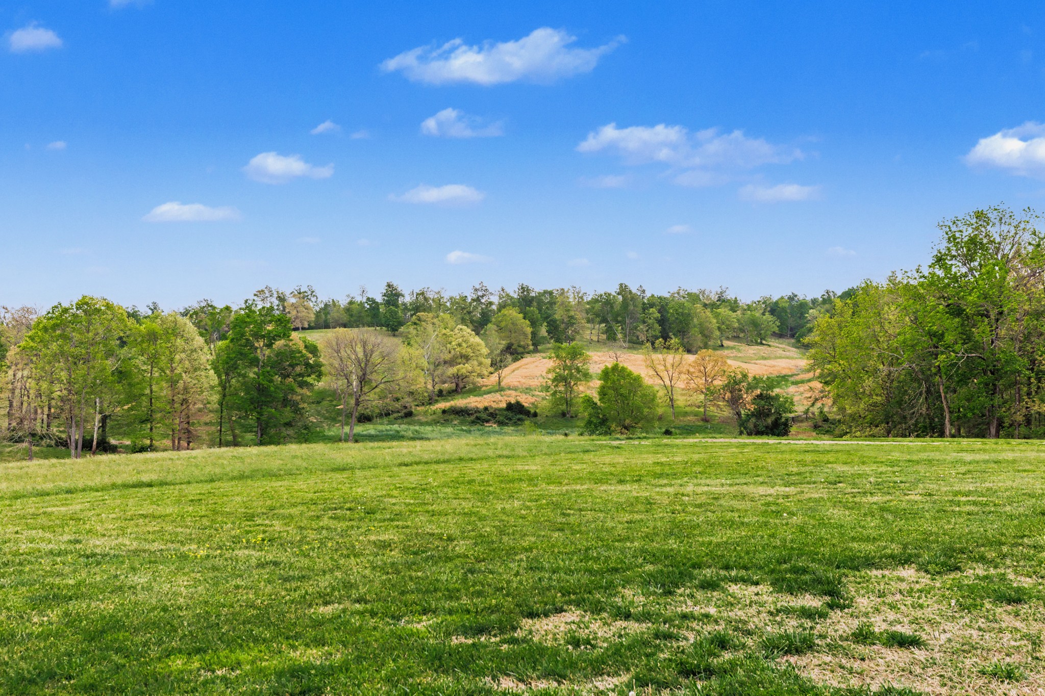 1560 Fairfield Road Westmoreland, TN 37186 - Photo 56 of 64
