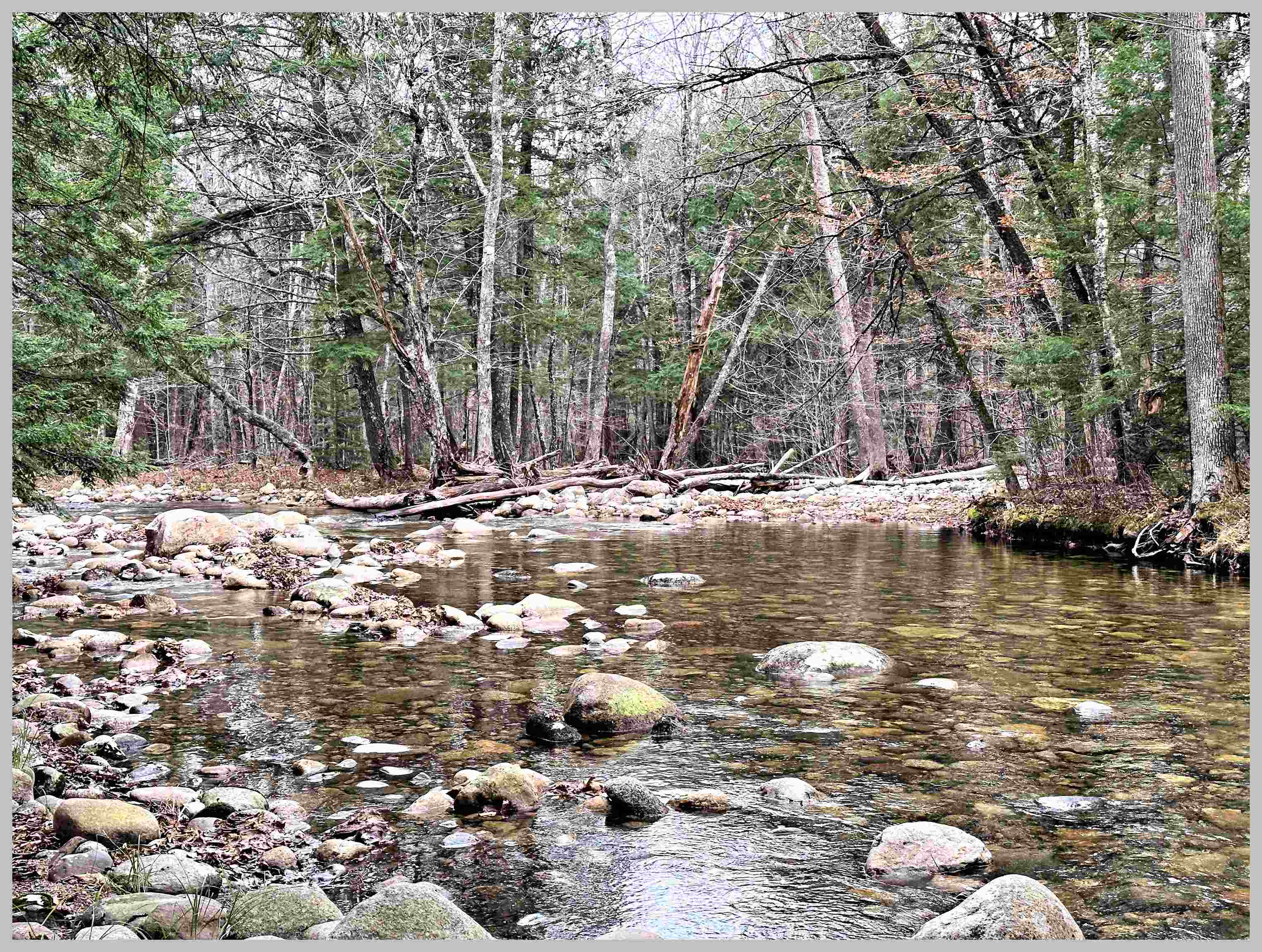 0 Thornton Gore Road Thornton, NH 03285 - Photo 11 of 26 Gallery Image 11