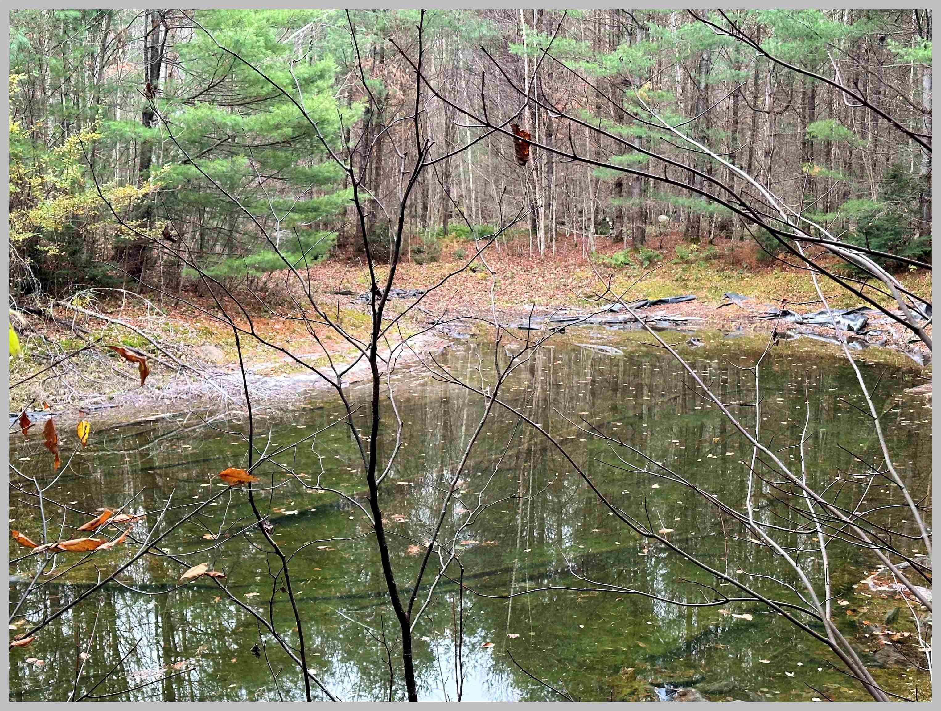 0 Thornton Gore Road Thornton, NH 03285 - Photo 12 of 26 Gallery Image 12