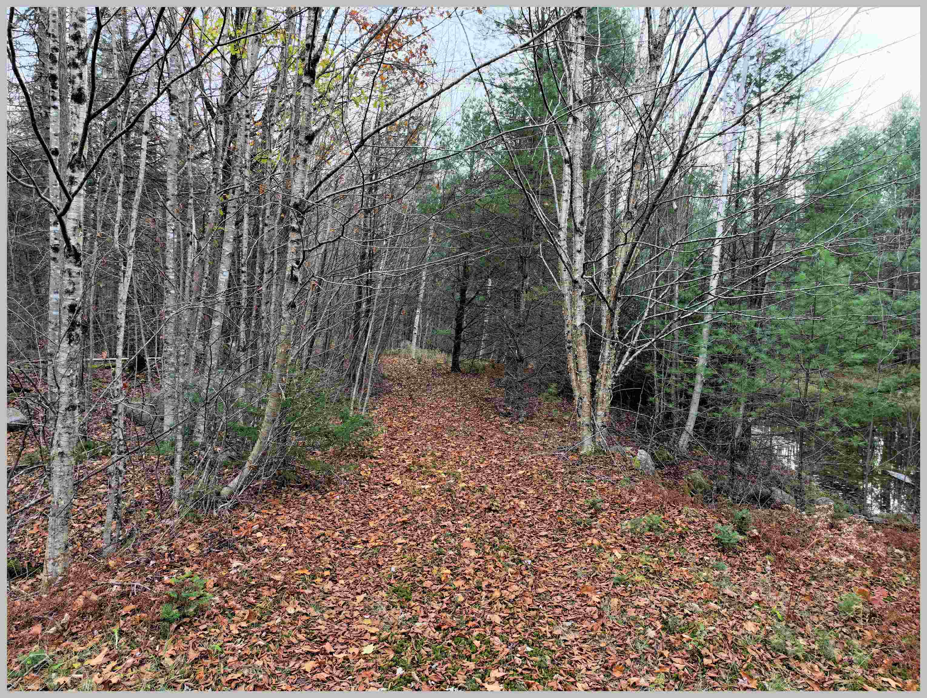 0 Thornton Gore Road Thornton, NH 03285 - Photo 24 of 26 Gallery Image 24