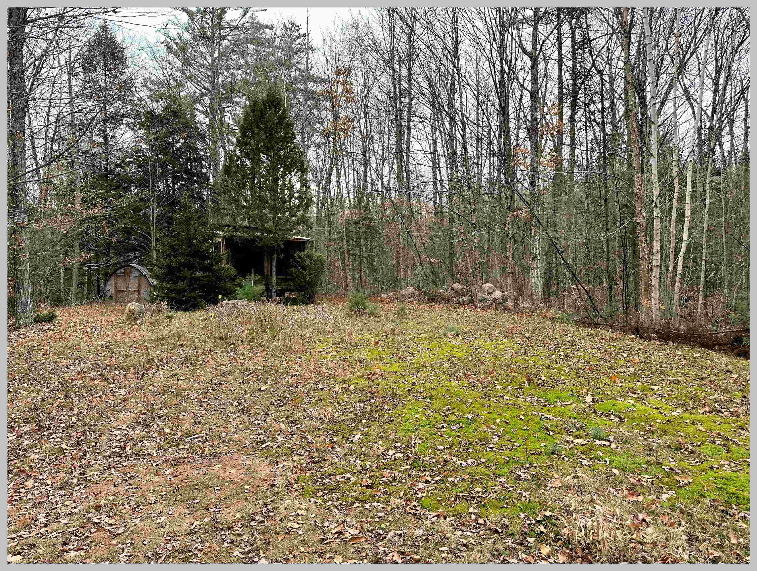 0 Thornton Gore Road Thornton, NH 03285 - Photo 25 of 26 Gallery Image 25