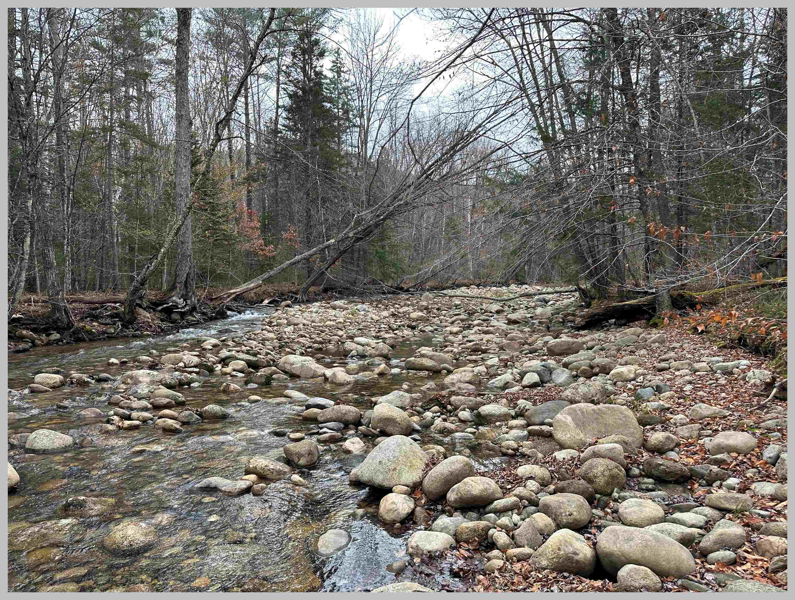 0 Thornton Gore Road Thornton, NH 03285 - Photo 3 of 26 Gallery Image 3