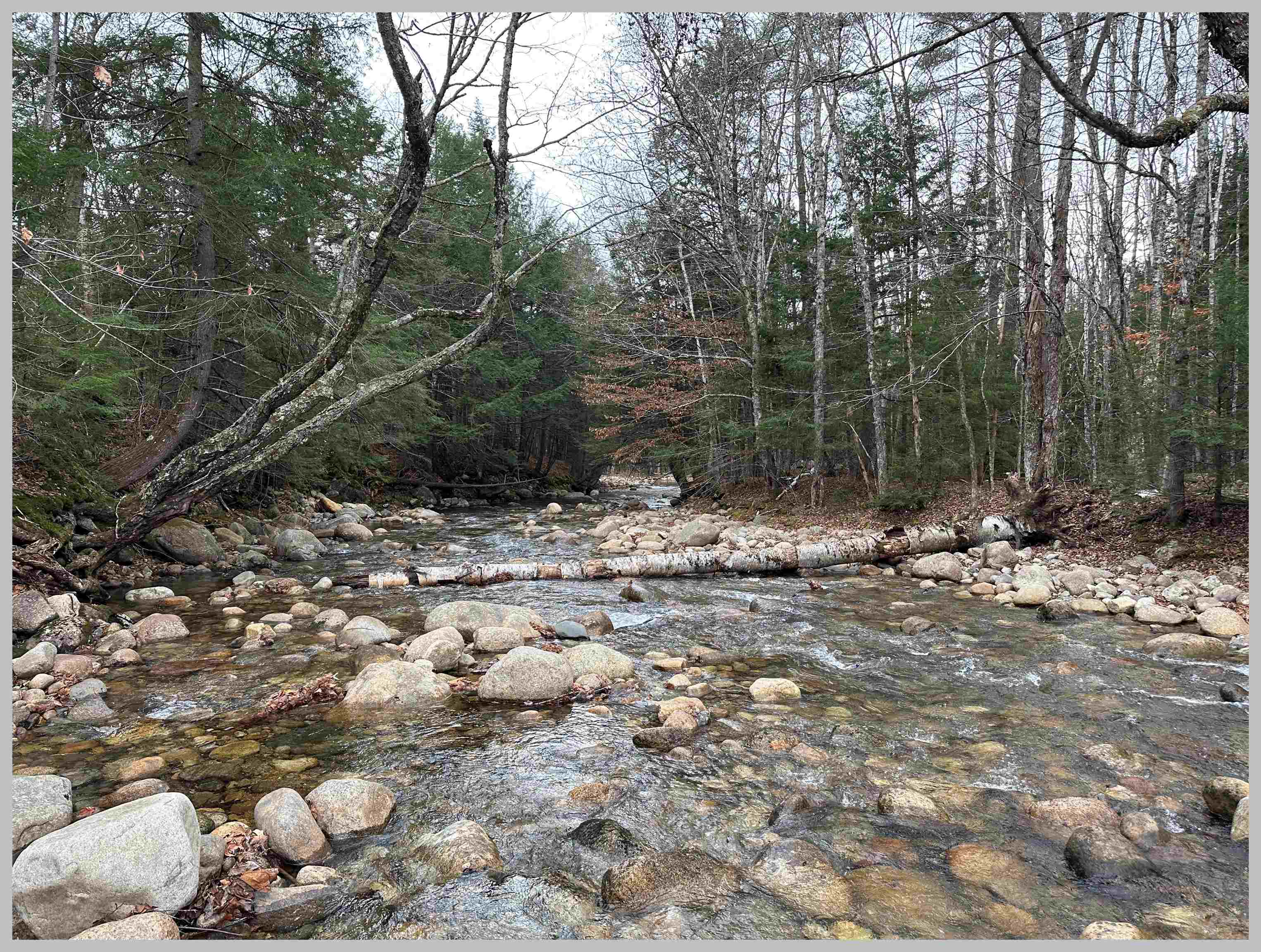 0 Thornton Gore Road Thornton, NH 03285 - Photo 4 of 26 Gallery Image 4