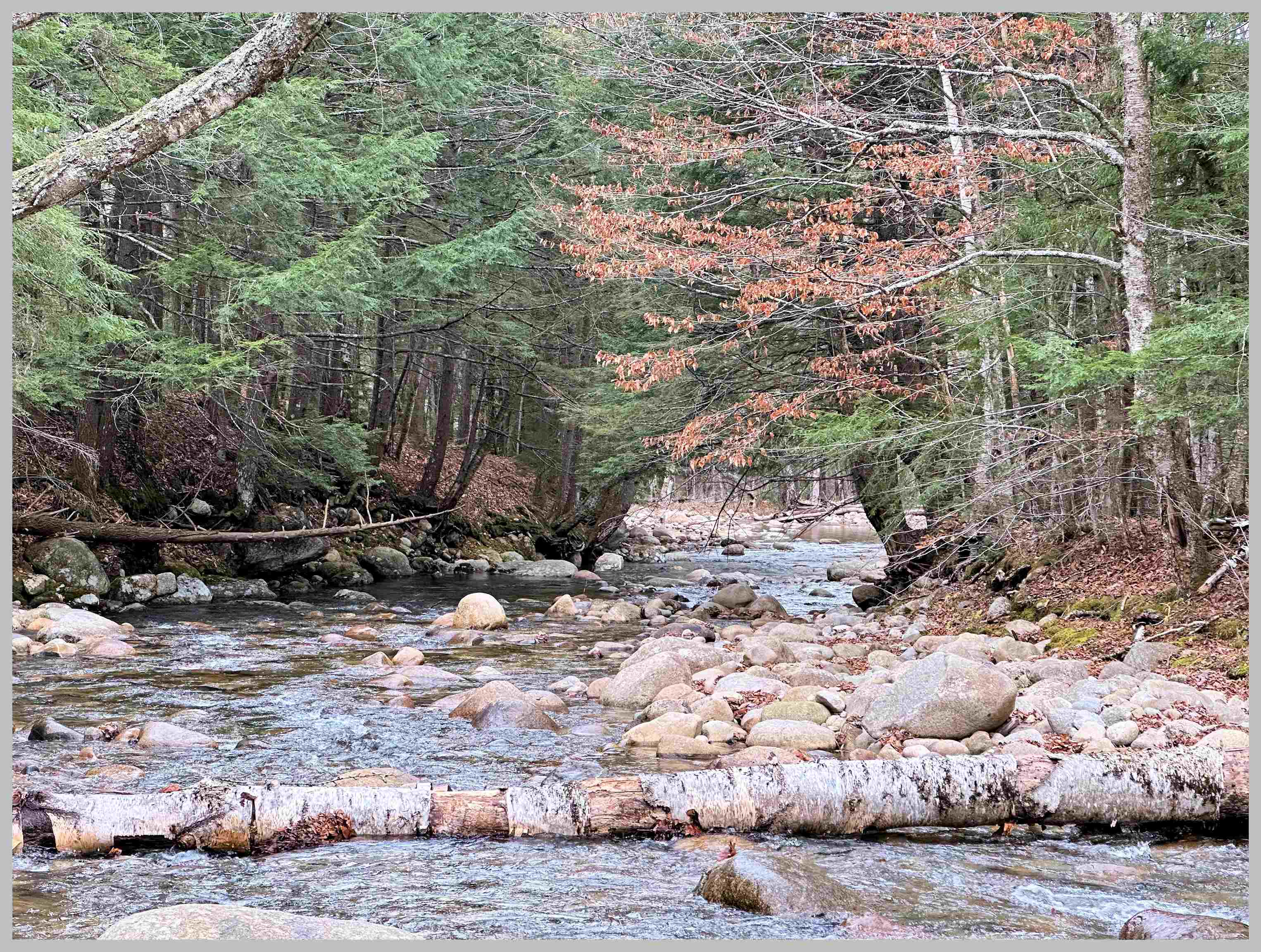 0 Thornton Gore Road Thornton, NH 03285 - Photo 5 of 26 Gallery Image 5