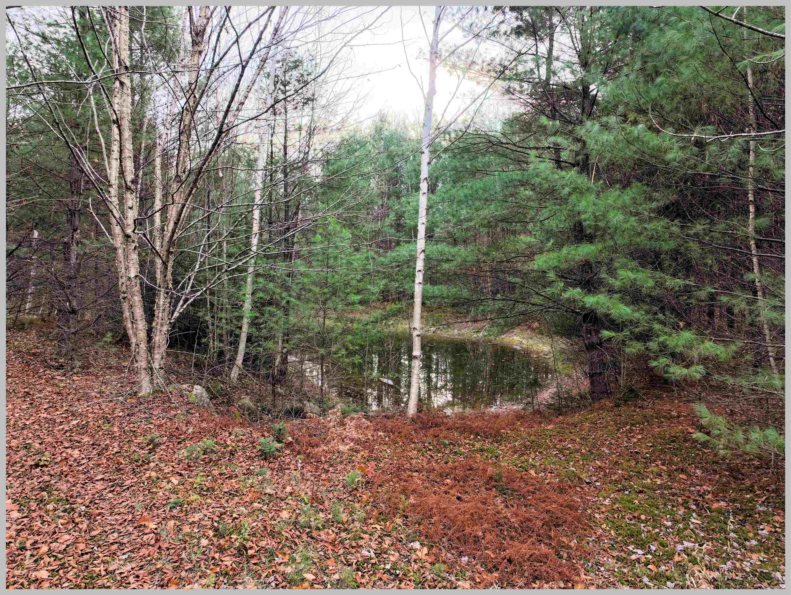 0 Thornton Gore Road Thornton, NH 03285 - Photo 6 of 26 Gallery Image 6