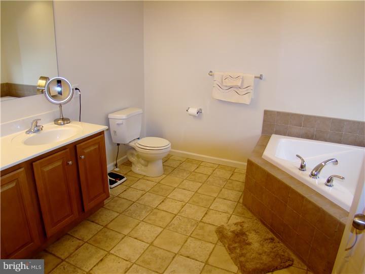 229 Longview Drive Sinking Spring, PA 19608 - Photo 14 of 25 Master Bathroom